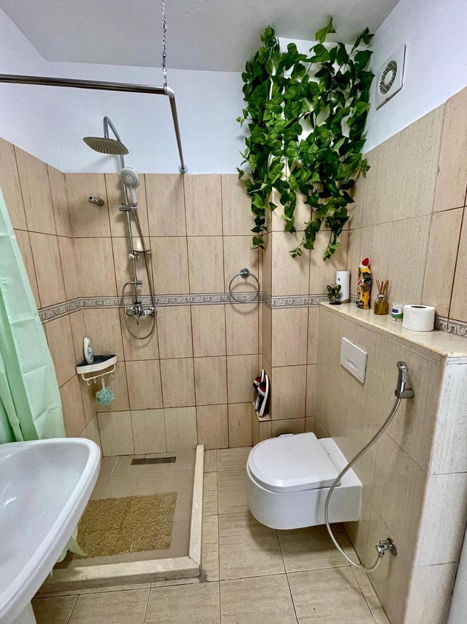 Flex Apartment Tiranë Luaran gambar
